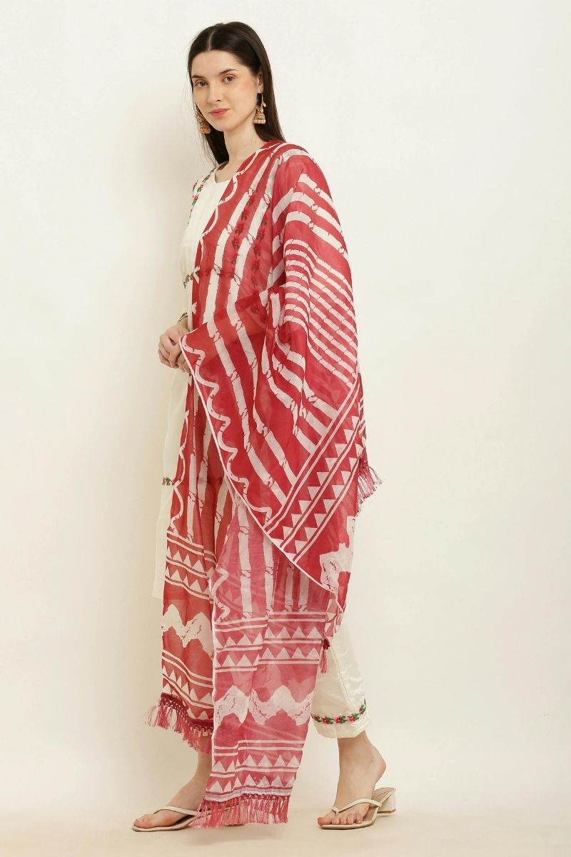Woman wearing an elegant organza saree